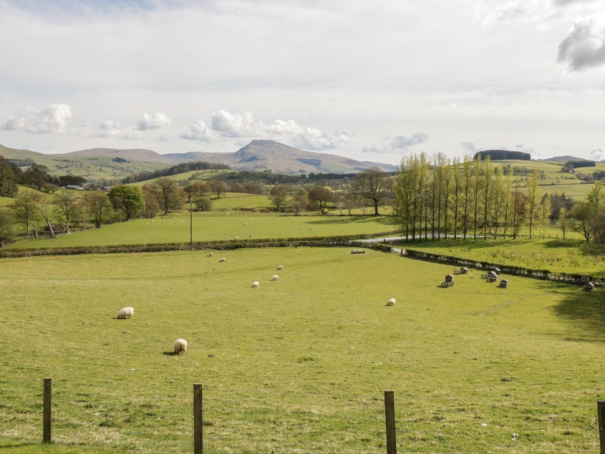 Cyffdy Cottage - Arenig 巴拉 外观 照片