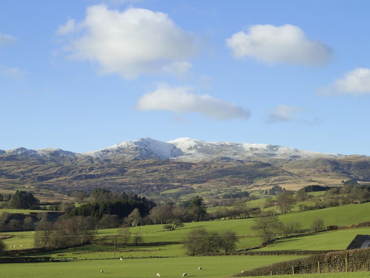 Cyffdy Cottage - Arenig 巴拉 外观 照片